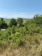 Komárom-Esztergom megye - Héreg